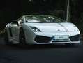 Lamborghini Gallardo Gallardo LP550-2 tricolore Wit - thumbnail 11
