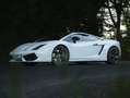 Lamborghini Gallardo Gallardo LP550-2 tricolore Wit - thumbnail 12