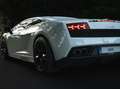 Lamborghini Gallardo Gallardo LP550-2 tricolore Wit - thumbnail 25