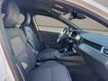 Renault Clio Clio 1.6 E-Tech hybrid Intens 140cv auto Bianco - thumbnail 15