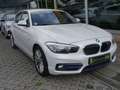 BMW 116 d Sport Line incl.Big Deal inspektionspaket Bianco - thumbnail 7