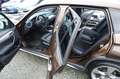 BMW X1 2.0d sDrive KLIMA PANO SITZH 19' Insp+TÜV NEU Braun - thumbnail 9