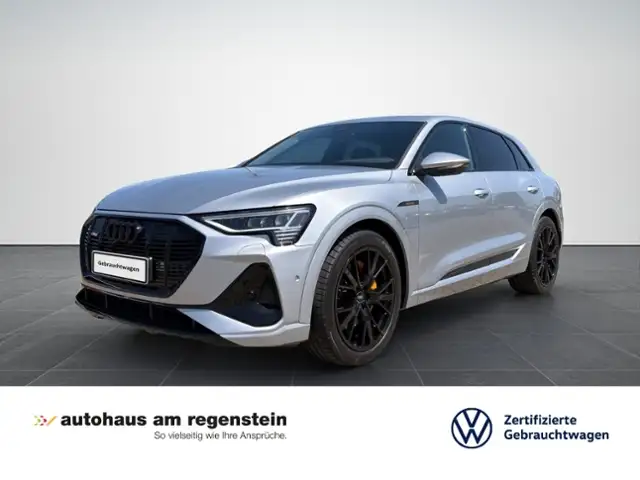 Audi e-tron 55 quattro S line Matrix/AHK/Kamera