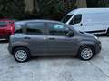 Fiat Panda 1.0 firefly hybrid s&s 70cv 5p.ti Gris - thumbnail 6