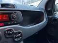 Fiat Panda 1.0 firefly hybrid s&s 70cv 5p.ti Gris - thumbnail 13
