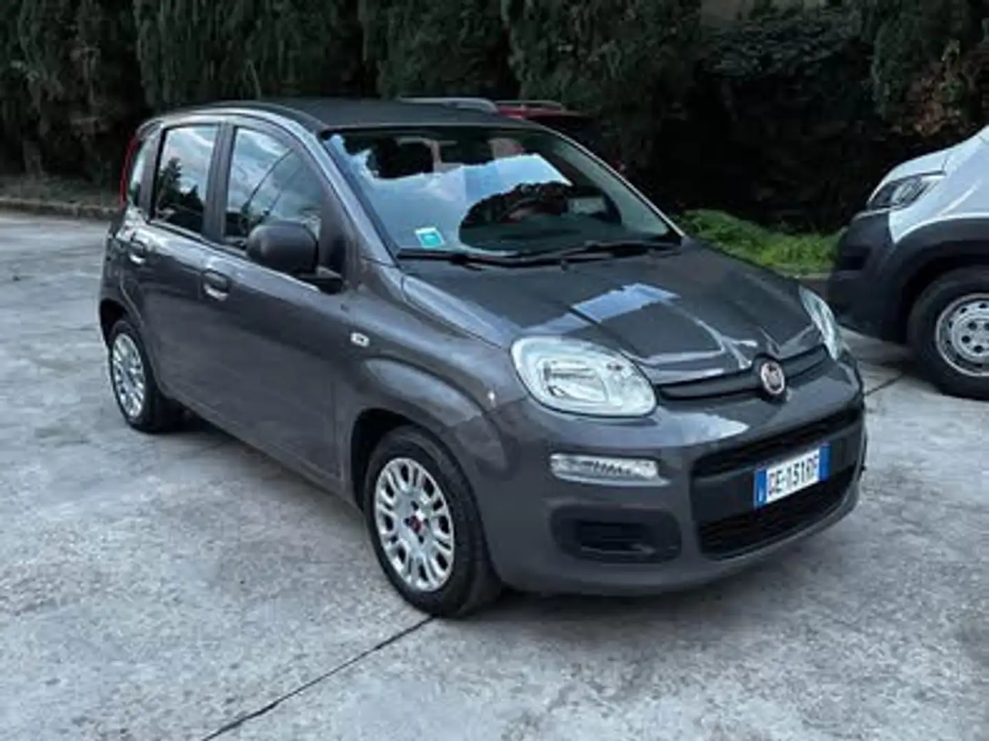 Fiat Panda 1.0 firefly hybrid s&s 70cv 5p.ti Gris - 2