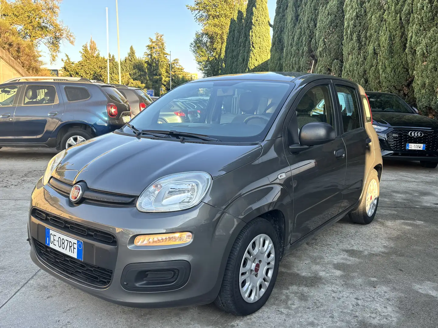 Fiat Panda 1.0 firefly hybrid 70cv 5posti PREZZO REALE Gris - 2