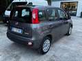 Fiat Panda 1.0 firefly hybrid s&s 70cv 5p.ti Gris - thumbnail 3