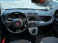 Fiat Panda 1.0 firefly hybrid s&s 70cv 5p.ti Gris - thumbnail 8