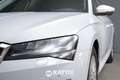 Skoda Superb Wagon 1.4 TSI Phev Style DSG Bianco - thumbnail 3