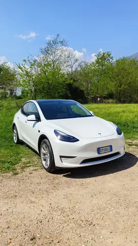 Tesla Model Y Long Range Dual Motor AWD