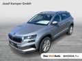 Skoda Karoq 4x4 Selection TDI DSG Silber - thumbnail 1