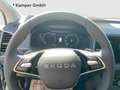 Skoda Karoq 4x4 Selection TDI DSG Silber - thumbnail 9