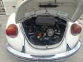 Volkswagen Beetle - thumbnail 3