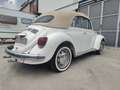 Volkswagen Beetle - thumbnail 5