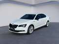 Skoda Superb 2.0TDI AMBITION DSG AHK+Navi+PDC+Sitzhzg. Blanc - thumbnail 1