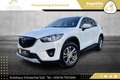 Mazda CX-5 CD175 Revolution Top Aut. AWD Weiß - thumbnail 1