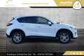 Mazda CX-5 CD175 Revolution Top Aut. AWD Weiß - thumbnail 16
