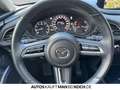 Mazda CX-30 SKYACTIV-G 2.0 KEYLESS SHZ KLIMA PDC KAMERA Gris - thumbnail 9