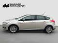Ford Focus 1.5 tdci Business s&s 120cv 5p powershift Grigio - thumbnail 3
