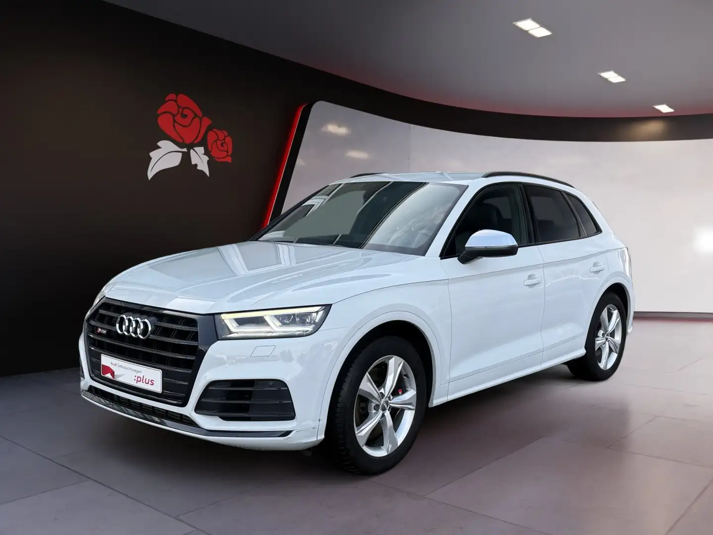 Audi SQ5 TDI 3.0 V6 tiptronic quattro RFK Navi Matrix-LED Weiß - 2