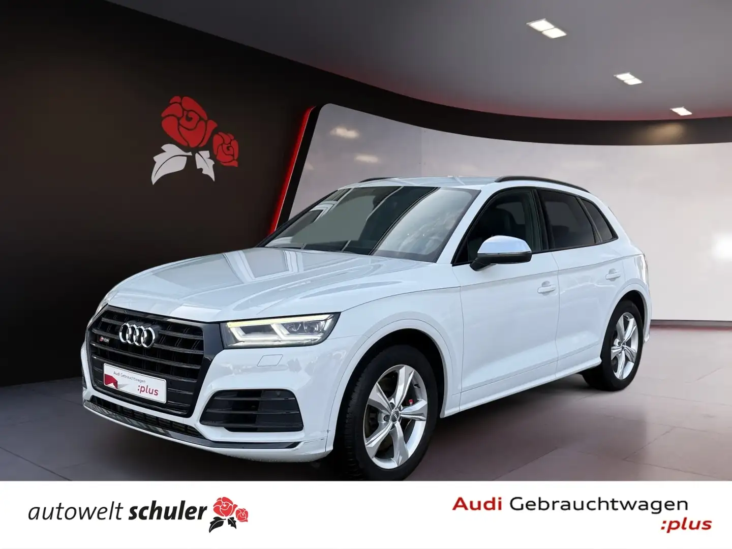Audi SQ5 TDI 3.0 V6 tiptronic quattro RFK Navi Matrix-LED Weiß - 1