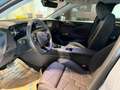 DS Automobiles Sonstige N°4 Hybrid 145 Etoile Nappaleder (D1108) Grau - thumbnail 8