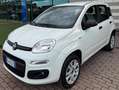 Fiat Panda Panda III 2019 0.9 t.air t. natural power Lounge Wit - thumbnail 2
