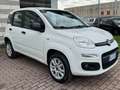 Fiat Panda Panda III 2019 0.9 t.air t. natural power Lounge Wit - thumbnail 8