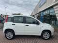 Fiat Panda Panda III 2019 0.9 t.air t. natural power Lounge Wit - thumbnail 7