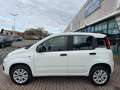 Fiat Panda Panda III 2019 0.9 t.air t. natural power Lounge Wit - thumbnail 3