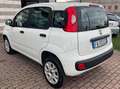 Fiat Panda Panda III 2019 0.9 t.air t. natural power Lounge Wit - thumbnail 4