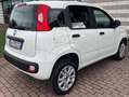 Fiat Panda Panda III 2019 0.9 t.air t. natural power Lounge Wit - thumbnail 6