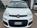 Fiat Panda Panda III 2019 0.9 t.air t. natural power Lounge Wit - thumbnail 1