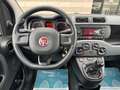 Fiat Panda Panda III 2019 0.9 t.air t. natural power Lounge Wit - thumbnail 11