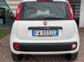 Fiat Panda Panda III 2019 0.9 t.air t. natural power Lounge Weiß - thumbnail 5