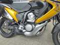 Honda XL 700 Transalp Goud - thumbnail 5