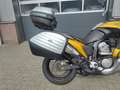 Honda XL 700 Transalp Goud - thumbnail 6