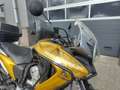 Honda XL 700 Transalp Goud - thumbnail 3