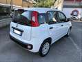 Fiat Panda 1.2 Lounge 69cv - thumbnail 6
