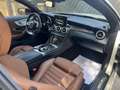 Mercedes-Benz C 43 AMG Cabrio 4Matic Aut. Blanco - thumbnail 16