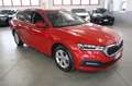Skoda Octavia 2.0 TDI EVO SCR 150 CV DSG Wagon Ambition Rot - thumbnail 2