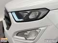 Ford EcoSport 1.5 tdci st-line s&s 100cv White - thumbnail 13