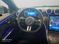 Mercedes-Benz C 200 d T AMG+NIGHT+360+LED+SITZKLIMA+KEYLESS+9G Grau - thumbnail 14