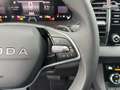 Skoda Karoq 1.5 TSI DSG Top Selection 2Zoklima 2xEinparkhil... Schwarz - thumbnail 13