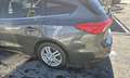Ford Focus Focus Traveller 1,5 EcoBlue Titanium Business Titanium Business Grau - thumbnail 5