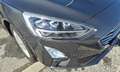 Ford Focus Focus Traveller 1,5 EcoBlue Titanium Business Titanium Business Grau - thumbnail 3
