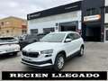 Skoda Karoq 2.0TDI AdBlue Ambition 4x4 DSG 110kW Blanco - thumbnail 1