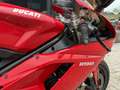 Ducati 1198 NL Motor # Termi short # dealeronderhouden Czerwony - thumbnail 6