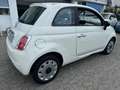 Fiat 500 1.2 Pop 69CV*NEOPATENTATI*EURO5 Blanco - thumbnail 4